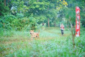 BIB: 
                            <button type="button" onclick="openModal(19428548)" class="btn btn-primary btn-sm float-right btn-popup" data-toggle="modal" data-target=".modal-high-quality">
                        <i class="fas fa-shopping-cart"></i> Add to Cart
                    </button>
                                            <button type="button" onclick="isThisMe(19428548, true)" class="btn btn-success btn-sm float-right btn-popup btn-isme hidden" data-toggle="tooltip" data-placement="bottom" title="นี่คือรูปของคุณใช่ไหม คลิกที่นี่เพื่อเอาเข้าอัลบั้ม">
                        <i class="fas fa-plus"></i> Add to album
                    </button>
                    <button type="button" onclick="isThisMe(19428548, false)" class="btn btn-warning btn-sm float-right btn-popup btn-isnotme hidden">
                        <i class="fas fa-ban"></i> Remove from album
                    </button>